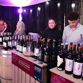 Espacio Patagonia del Vino